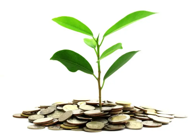 Инвестиции SKF в сохранение экологии | Свежие новости в Уфе